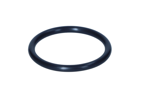Dr.Motor Automotive DRM01770 — Uszczelka, kolektor dolotowy