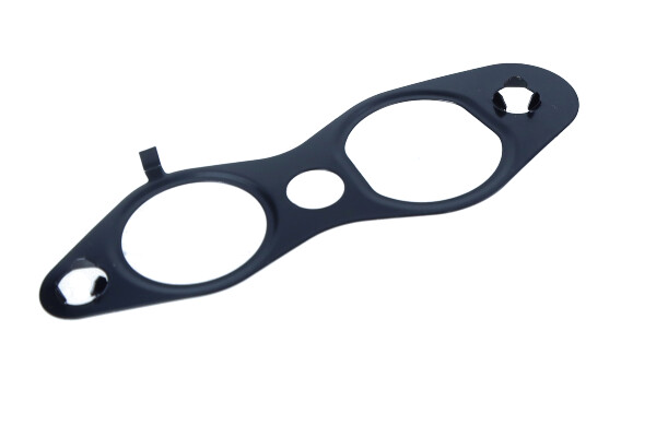 Dr.Motor Automotive DRM02100 — Uszczelnienie, zawór AGR