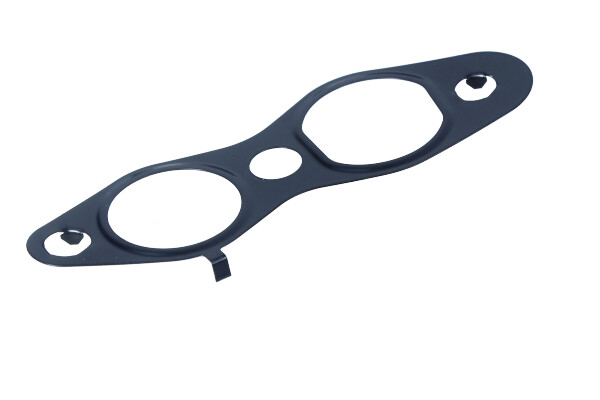 Dr.Motor Automotive DRM02100 - USZCZELKA ZAWORU EGR FIAT SCUDO 2.0D 10-