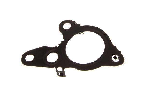 Dr.Motor Automotive DRM02686 - USZCZELKA ZAWORU AGR