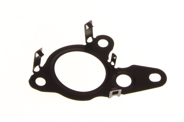 Dr.Motor Automotive DRM02686 - USZCZELKA ZAWORU AGR