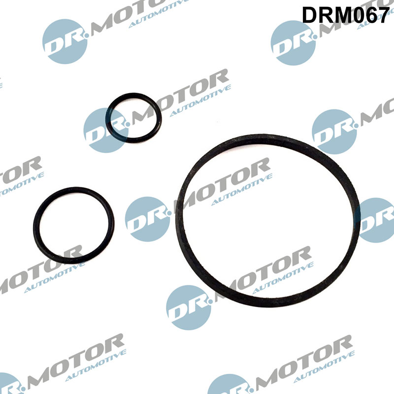 Dr.Motor Automotive DRM067 — Zestaw uszczelek, chłodnica olejowa