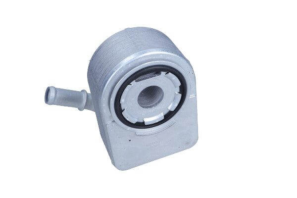 Dr.Motor Automotive DRM61001 - CHŁODNICA OLEJU FORD FEISTA 1.6 TI-VCT 08-