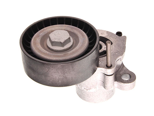 FEBI Bilstein 177971 - NAPINACZ PASKA WIELOROWK. VW 1.0