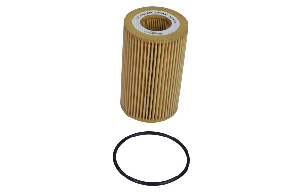 Maxgear 26-2031 — Filtr oleju