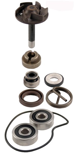 RMS 10 011 0220 - ZESTAW NAPR. POMPY WODY MOTO. PIAGGIO BEVERLY 250CC 2004-2005