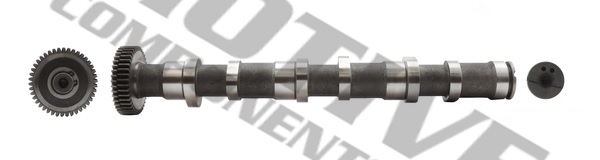 MOTIVE T072 — Wałek rozrządu