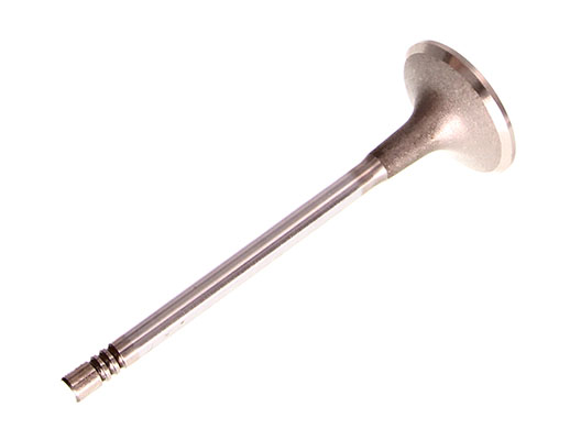TRW Engine Component 539046 — Zawór dolotowy