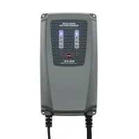 PROSTOWNIK EXPERT CHARGER 25 12V 380W 25A