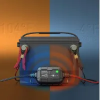 PROSTOWNIK AUTOMATYCZNY GENIUS2 2A 6V / 12V