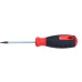 WKRĘTAK TORX 6X60 MM