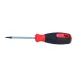 WKRĘTAK TORX 7X60 MM