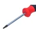 WKRĘTAK TORX T15X80 MM