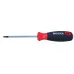 WKRĘTAK TORX T20X100 MM