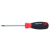 WKRĘTAK TORX SECUR. 27X100 MM