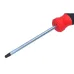WKRĘTAK TORX SECUR. 30X100 MM