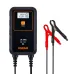 INTELIGENTNY PROSTOWNIK OEBCS 906 6A, 6V / 12V