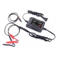 ELEKTRONICZNY PROSTOWNIK SMART CHARGER 2 6V / 12V, 2A