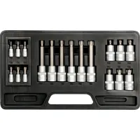 ZESTAW KLUCZY TRZPIENIOWYCH TORX, 18CZ