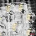 Lampa robocza LED szperacz AWL07 9 LED 12V 24V AMIO-02421