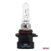 Żarówka halogenowa HB3A 9005XS 12V 65W P20d AMIO-04520