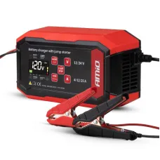 AMIO 04530 — Prostownik cyfrowy z wspomaganiem rozruchu AGM GEL STD LFP MAX 25A 12V 24V PRO A...
