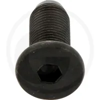 Śruba M 12X1,25X30 10.9 Maschio