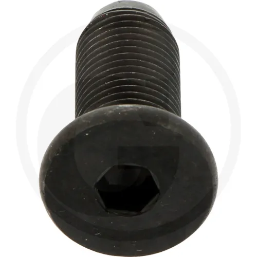 Śruba M 12X1,25X30 10.9 Maschio