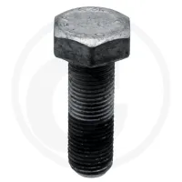Śruba Amazone Catros, Catros+ M10 x 1 x 30, 12,9