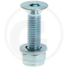  180681357 — Zestaw śrub Monosem różne części zamienne M6 x 25 mm, 8,8 galwanizowane