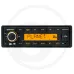 Radio TRDW312UB-OR/WAN Silver Line Extended 12V Radia