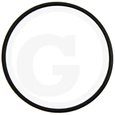  25904007 — O-ring Deutz  Agrotron 106, 110, 115, 120, 135, 150, 6.00, 6.05, 6.15, 6.20, 6.3...