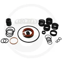 Zestaw uszczelek John Deere do 25912099