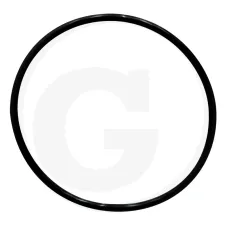 GRANIT 38002757 — Oring Case IH  1455   DT-402 Ø 4,7