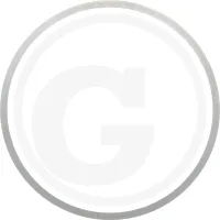 Pierścień dystansowy 0,8 mm Pierścienie dystansowe pasujące do Deutz  FL912, FL913, BFL912, BFL913 do panewki