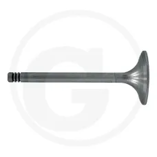 GRANIT 38006048 — Zawór ssący Renault  103-52, 103-54, 106-54, 110-54, 120-54, 133-54, 145-54