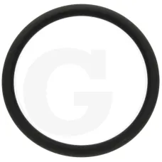 GRANIT 38006910 — Pierścień uszczelniający Fendt  Fendt 922, 924 (typ 922), 927 (typ 925), 930 (ty...