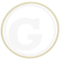 Pierścień uszczelniający Fendt  GT 380 (typ 380