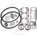 Zestaw uszczelek Steyr  8070, 8075   WD 411.42, 411.43, 411.44, WD 411.41/44, 411.45/46, SWD411.47