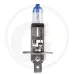 Żarówka halogenowa H1 12 V / 55 W Żarówki / oprawy