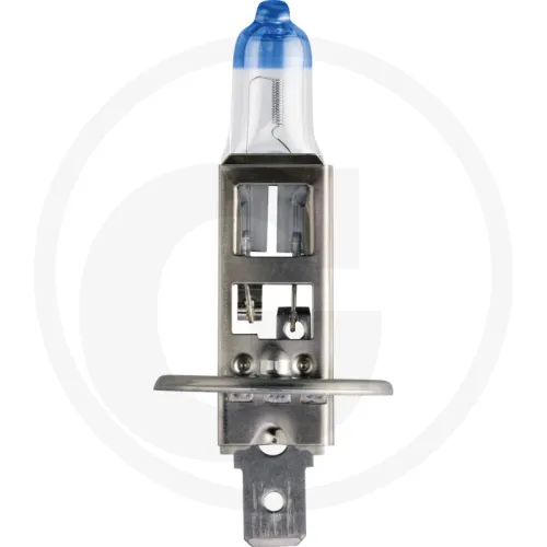 Żarówka halogenowa H1 12 V / 55 W Żarówki / oprawy