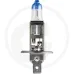 Żarówka halogenowa H1 12 V / 55 W Żarówki / oprawy