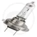 Żarówka halogenowa H7 12 V / 55 W Żarówki / oprawy