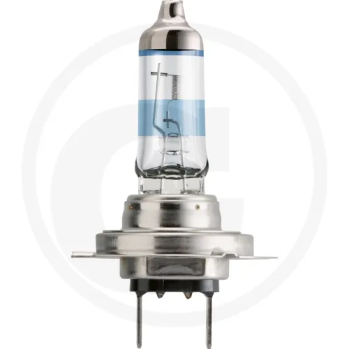 Żarówka halogenowa H7 12 V / 55 W Żarówki / oprawy