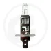 Żarówka halogenowa H1 12V / 55W Żarówki / oprawy
