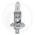 Żarówka halogenowa, H1 12V / 55W Żarówki / oprawy