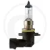 Żarówka halogenowa HB4 12 V / 51 W Żarówki / oprawy