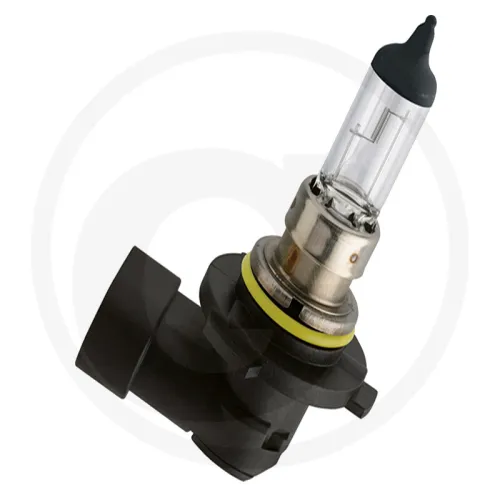 Żarówka halogenowa HB4 12 V / 51 W Żarówki / oprawy