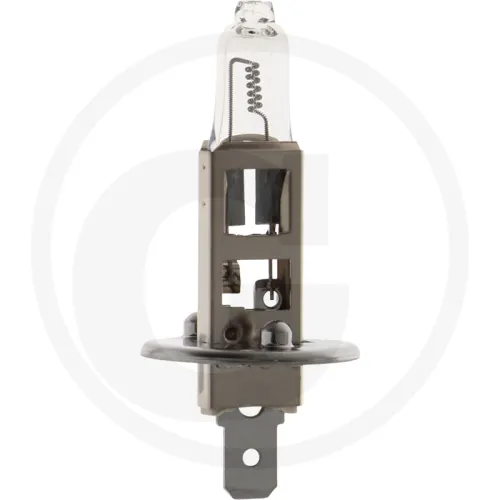 Żarówka halogenowa H1 24 V / 70 W Żarówki / oprawy