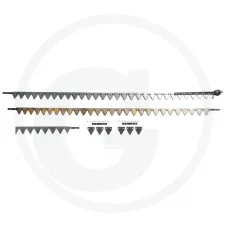 RASSPE 52551351 — Listwa tnąca Agco (Massey Ferguson, Fendt), Case IH, Dronningborg Listwa tnąca (...